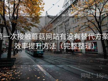 第一次接触蘑菇网站有没有替代方案？效率提升方法（完整整理）