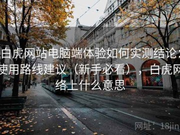白虎网站电脑端体验如何实测结论：使用路线建议（新手必看），白虎网络上什么意思