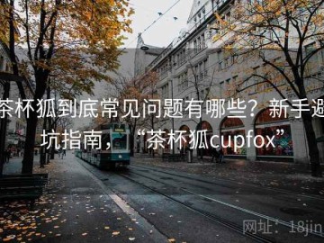 茶杯狐到底常见问题有哪些？新手避坑指南，“茶杯狐cupfox”