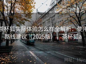 茶杯狐实际体验怎么样全解析：使用路线建议（2025版），茶杯狐a
