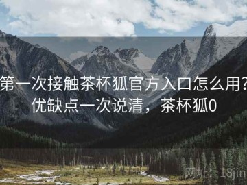 第一次接触茶杯狐官方入口怎么用？优缺点一次说清，茶杯狐0