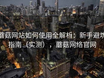 蘑菇网站如何使用全解析：新手避坑指南（实测），蘑菇网络官网
