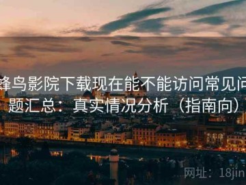 蜂鸟影院下载现在能不能访问常见问题汇总：真实情况分析（指南向）