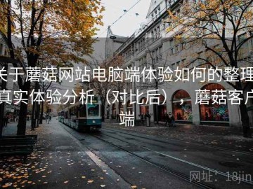 关于蘑菇网站电脑端体验如何的整理：真实体验分析（对比后），蘑菇客户端