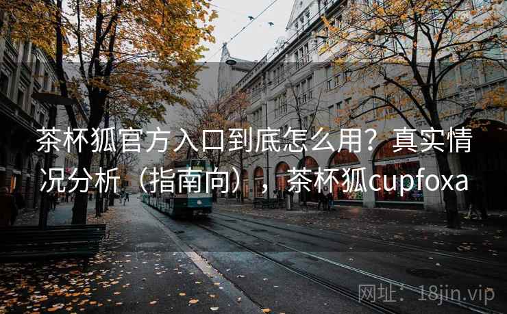 茶杯狐官方入口到底怎么用？真实情况分析（指南向），茶杯狐cupfoxa