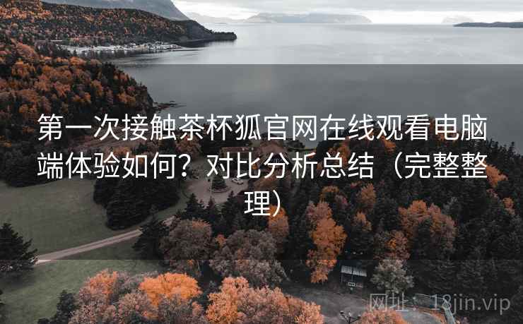 第一次接触茶杯狐官网在线观看电脑端体验如何？对比分析总结（完整整理）