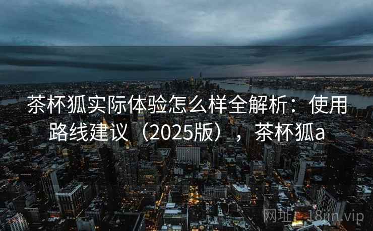 茶杯狐实际体验怎么样全解析：使用路线建议（2025版），茶杯狐a