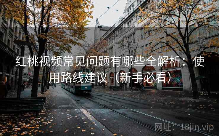 红桃视频常见问题有哪些全解析：使用路线建议（新手必看）