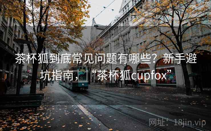 茶杯狐到底常见问题有哪些?新手避坑指南,“茶杯狐cupfox” 茶杯狐到底常见问题有哪些?新手避坑指南,“茶杯狐cupfox”